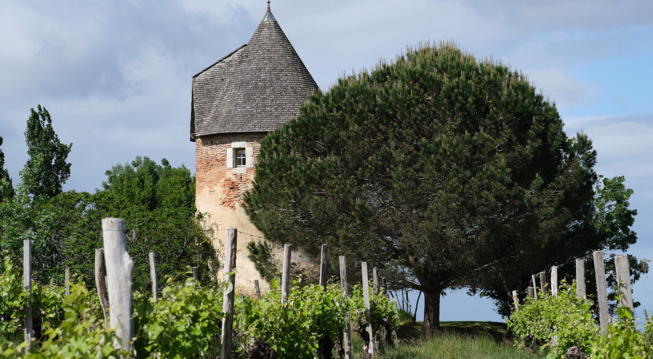 Moulin et Vignes 2 - Domaine  Laballe-SLIDER1