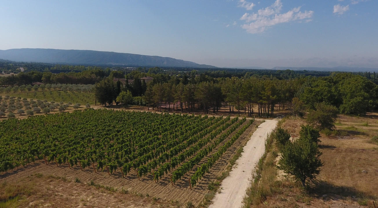 Vue-du-ciel_Leos_vue_Luberon (4)-PRINCIPALE