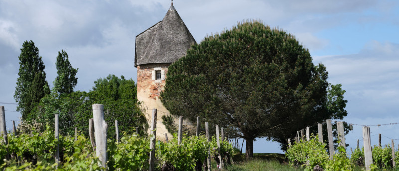 Moulin et Vignes 2 - Domaine  Laballe-SLIDER1