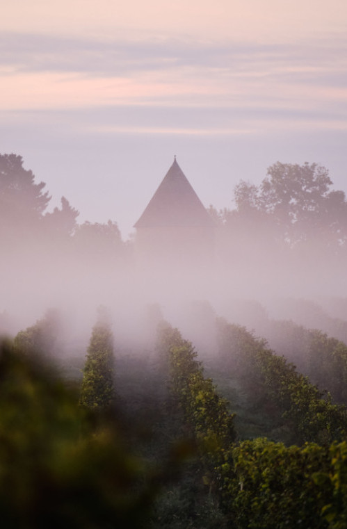 Brouillard - Domaine Laballe-SLIDER1